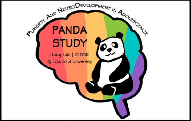 panda-study2